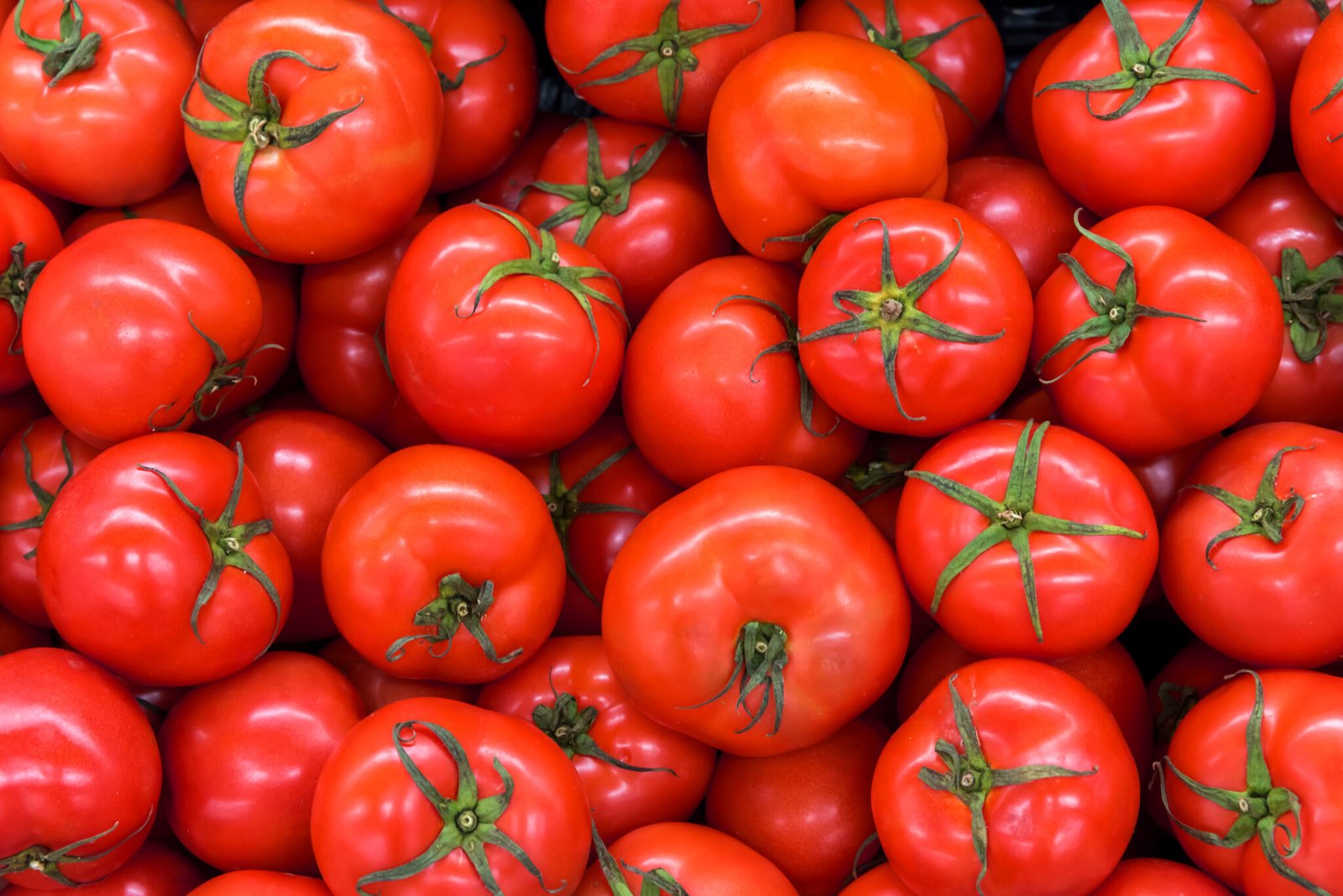Delicious Red Tomatoes In Summer Tray Market Agriculture Farm Fu